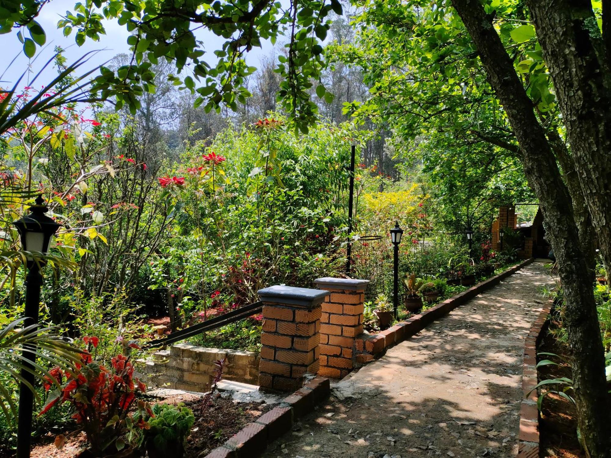 Pear Tree Entire 2Bhk Villa Kotagiri Luaran gambar